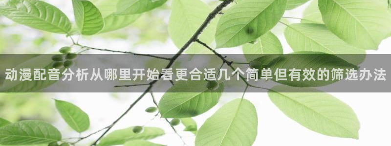 喵趣漫画2026:动漫配音分析从哪里开始看更合适几个简单但有效的筛选办法配图