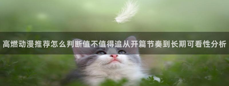 喵趣漫画全部漫画：高燃动漫推荐怎么判断值不值得追从开篇节奏到长期可看性分析配图