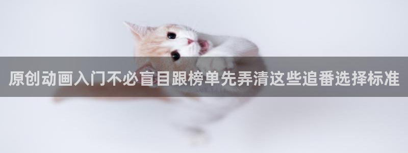喵趣漫画阅读目录：原创动画入门不必盲目跟榜单先弄清这些追番选择标准配图