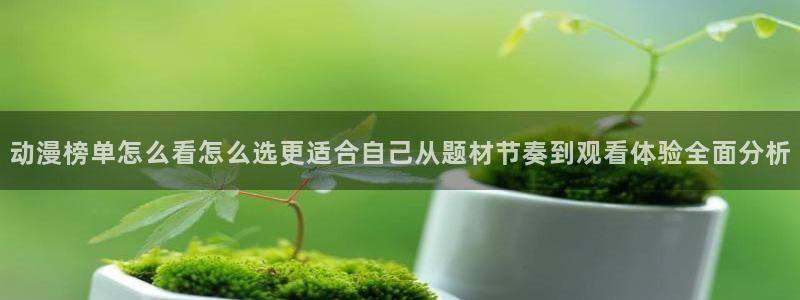 喵趣漫画人气漫画:动漫榜单怎么看怎么选更适合自己从题材节奏到观看体验全面分析配图